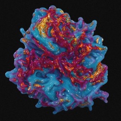 inner