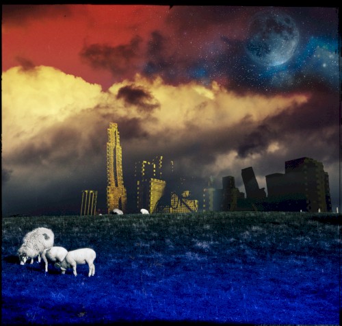 The Land of Holy Joy
