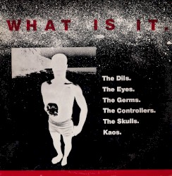 What Is It.