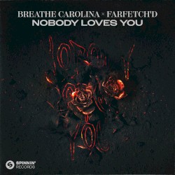 Nobody Loves You