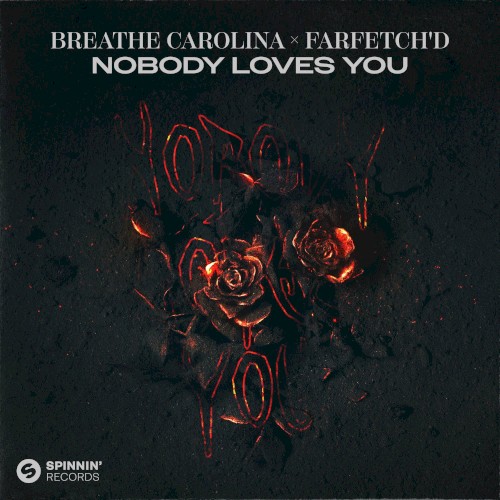 Nobody Loves You