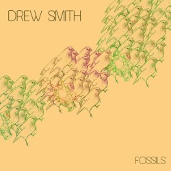 Fossils