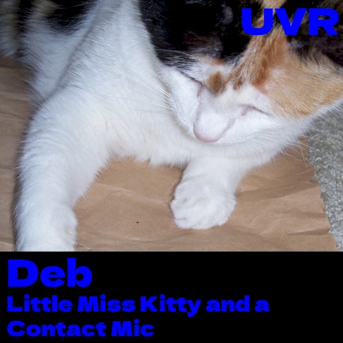 Little Miss Kitty and a Contact Mic