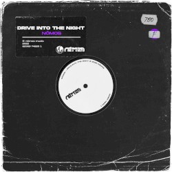 Drive Into the Night