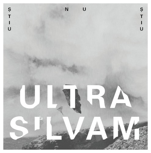 Ultra Silvam