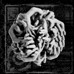 Antithèse