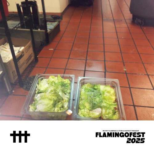christtt @ FLAMINGOFEST 2025 8/2/25