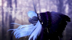 Winter Night