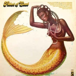 Fillet of Soul