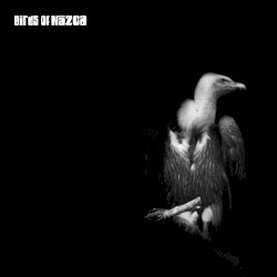 Birds of Nazca