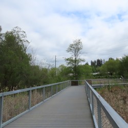 Totem Lake