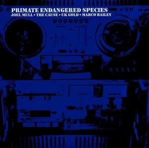 Primate Endangered Species