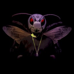 Hornet