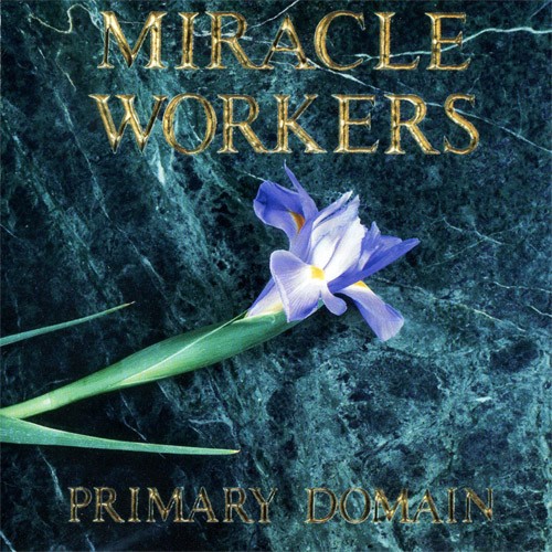Primary Domain