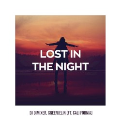 Lost in the Night