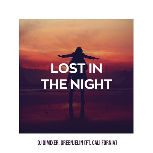 Lost in the Night