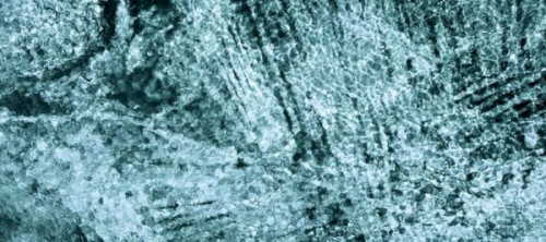 Electronic Explorations 258