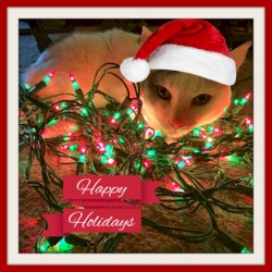 Jingle Bits