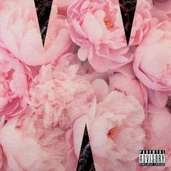 WIPLASH