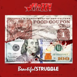 Beautiful Struggle