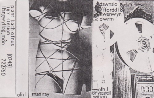 Y Ffordd i ’81