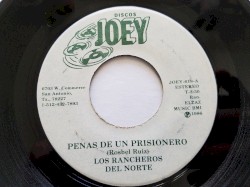 Penas de un prisionero / Falso nombre