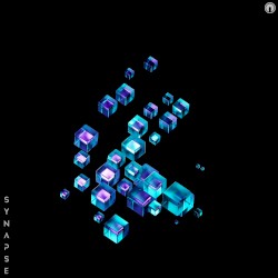 Synapse