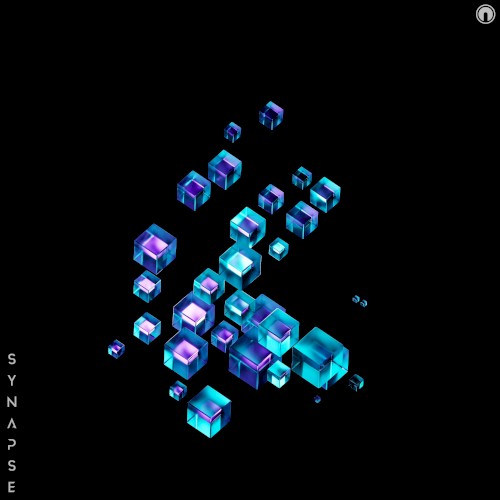 Synapse