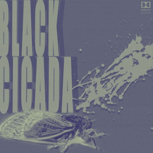 BLACK CICADA