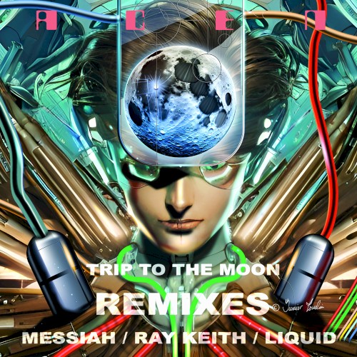 Trip to the Moon Remixes