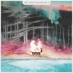 Hallucinate II