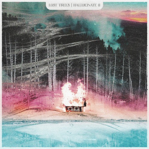 Hallucinate II