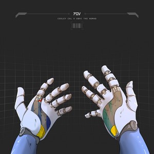 POV