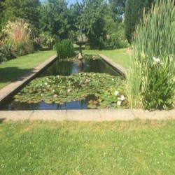 Sacred Garden