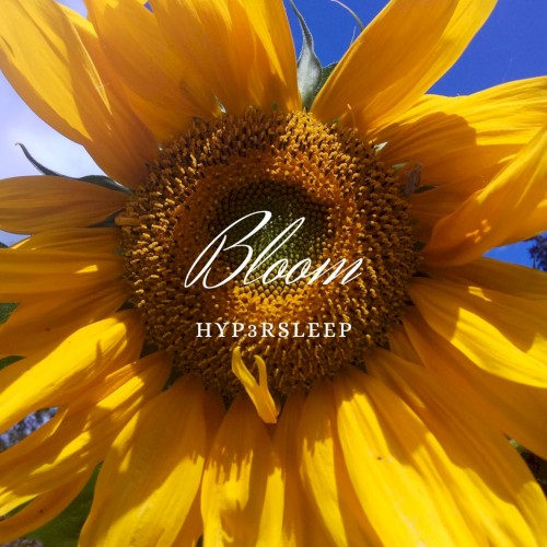 Bloom