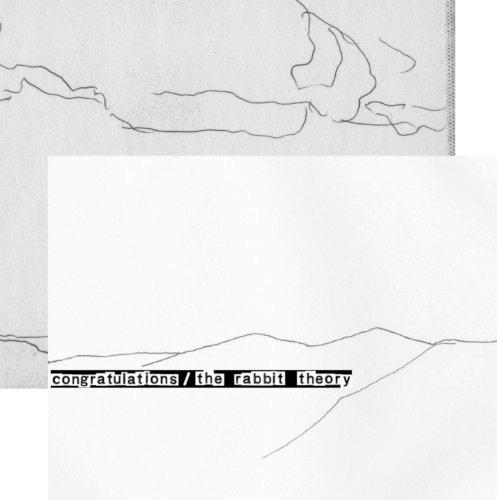 Congratulations / The Rabbit Theory