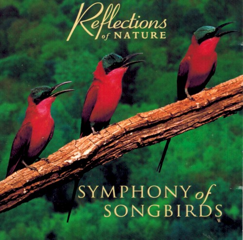 Symphony of Songbirds