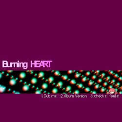 BurNing HeaRt OTHER MIXES