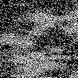 fluxus