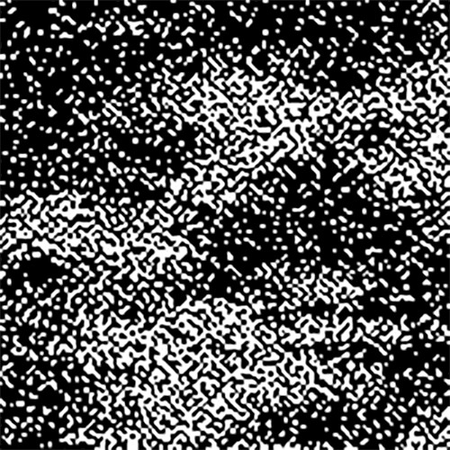 fluxus