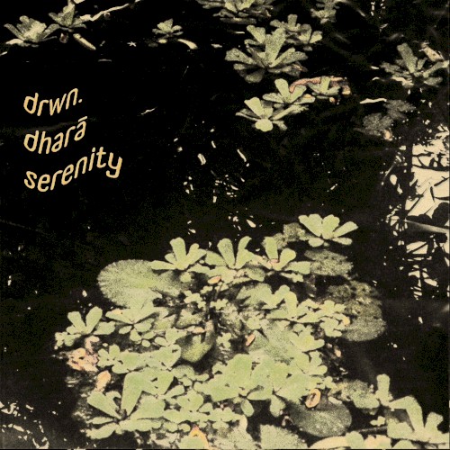 serenity (I)