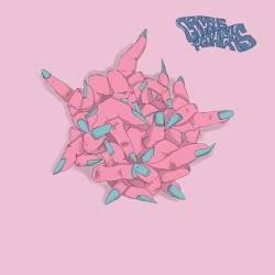 Cactus Flowers: Live at Steamboat Ampworks