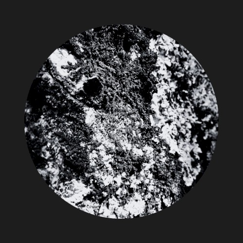 Fragments