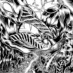 Jungle Creatures