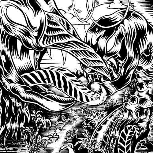 Jungle Creatures