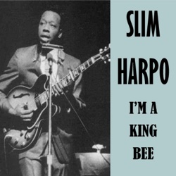 I'm a King Bee / I Got Love If You Want It