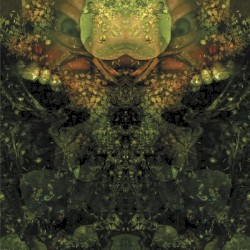 Edward's Lament