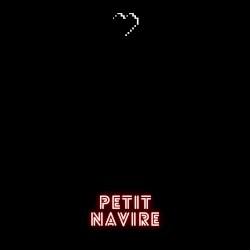 Petit navire
