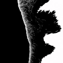 Ninsei / Moth