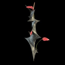 Odu: Vibration II